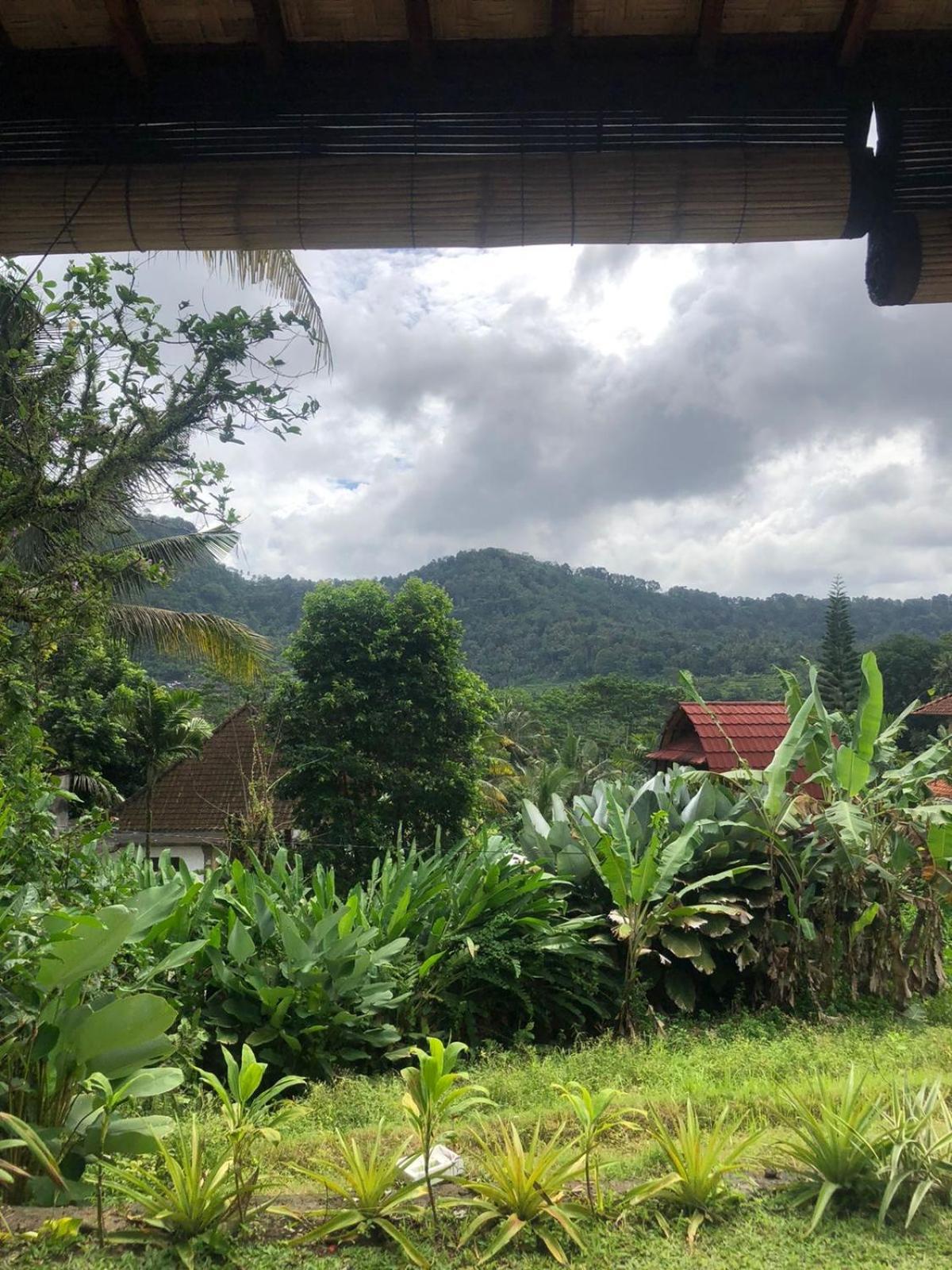 סיידמן D'Janu Homestay מראה חיצוני תמונה
