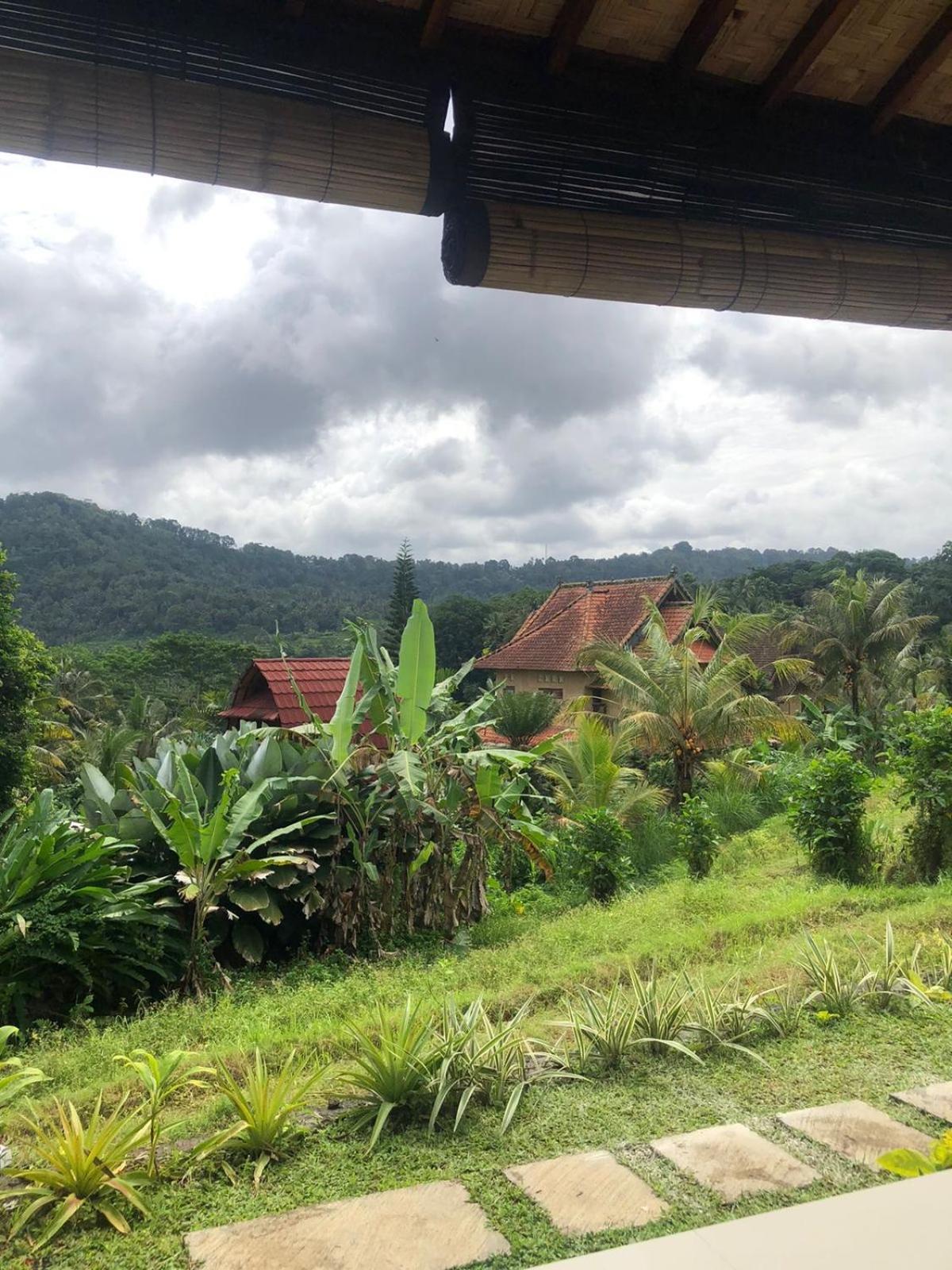 סיידמן D'Janu Homestay מראה חיצוני תמונה